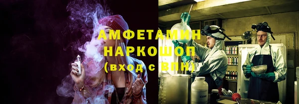 гашик Верея