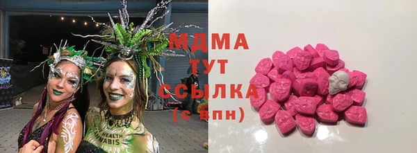 гашик Верея