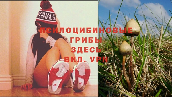 МДМА Верхний Тагил