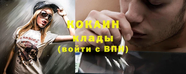 гашик Верея