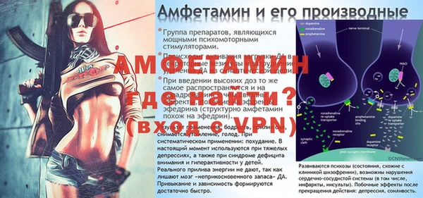 гашик Верея