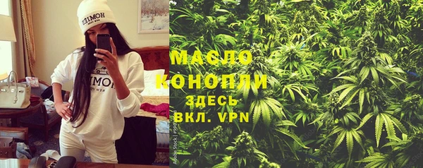 гашик Верея
