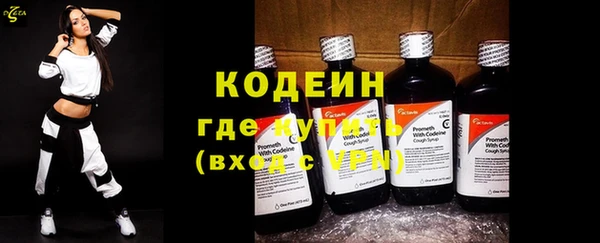 гашик Верея