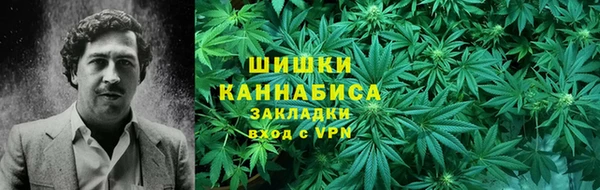 гашик Верея
