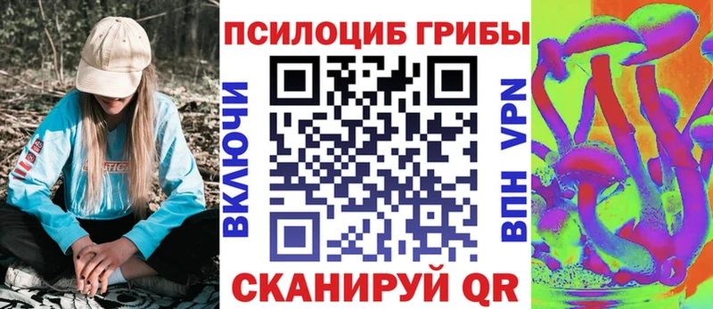 где можно купить наркотик  KRAKEN как зайти  Галлюциногенные грибы прущие грибы  Рыбинск 