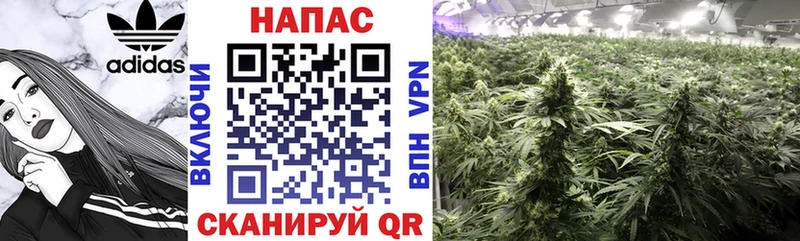 МАРИХУАНА OG Kush  Рыбинск 